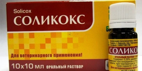 Upute za upotrebu lijeka solikoks za zečeve