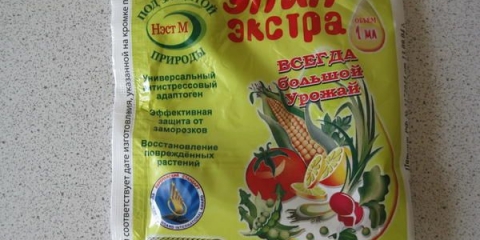 Upute za upotrebu stimulatora rasta epin za sadnice paradajza