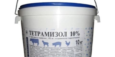 Uputstvo za upotrebu tetramizol 10 za ptice
