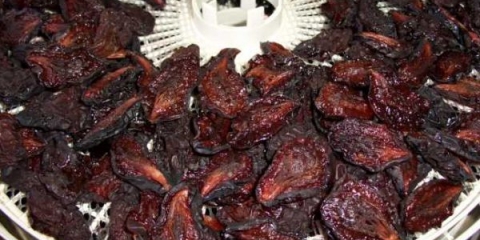 Od kojih se sorti šljiva prave i kako se prave suve šljive?