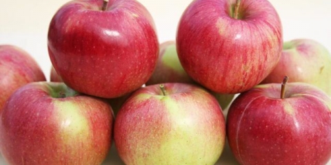 Jabuka anis sverdlovsk: opis, fotografija, visina stabla i recenzije