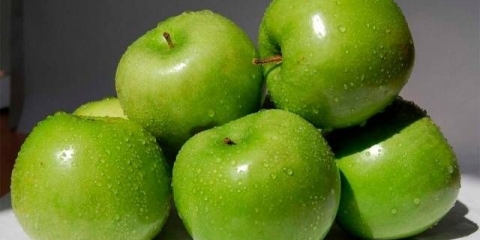 Semerenko stablo jabuke