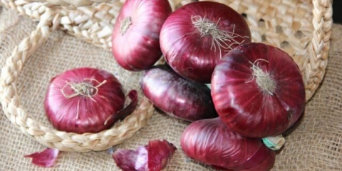 Jalta crveni luk: uzgoj iz sjemena u predgrađu, koristi i štete, recenzije