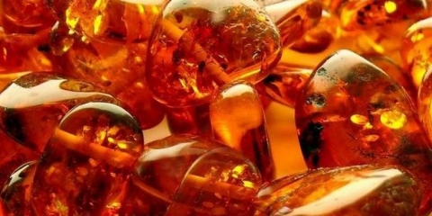 Jantarna kiselina za sadnice paradajza