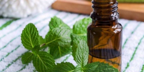 Eterično ulje paprene metvice: svojstva i primjena, recenzije