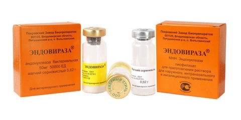 Endoviraza za pčele