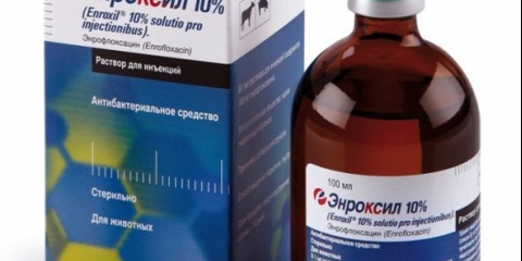 Enroxil u veterinarskoj medicini - uputstvo za upotrebu za ptice