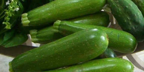 Tikvice tikvice: najbolje sorte