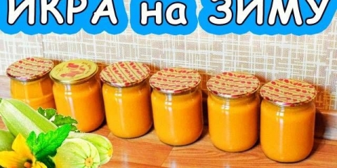 Kavijar od tikvica za zimu: recept korak po korak