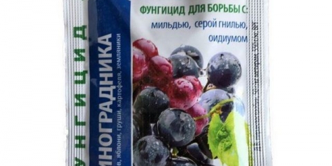 Cabrio top za grožđe - fungicid, upute