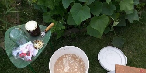 Kako napraviti gnojivo od kvasca za biljke