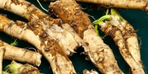 Kako ren utiče na potenciju muškarca