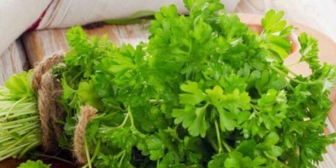 Kako peršun utiče na mušku potenciju