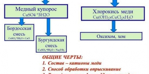 Kako razrijediti bakar sulfat za preradu paradajza