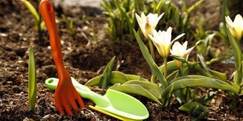 Koji se radovi rade u bašti u martu