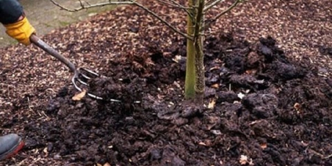 Koje je đubrivo bolje od stajnjaka?