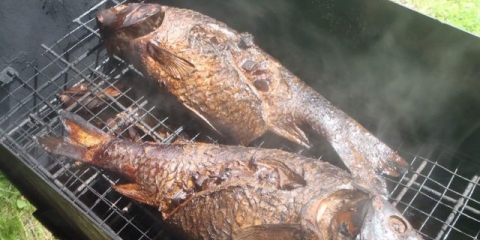 Toplo dimljeni šaran: recepti kod kuće, kalorije, fotografije, video