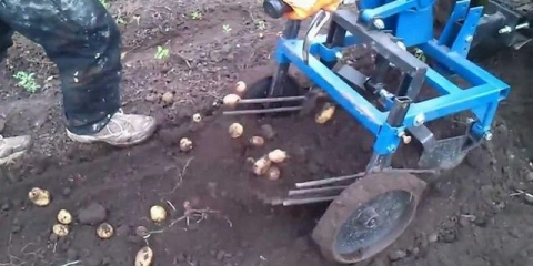 Kopač krompira uradi sam za motorni traktor
