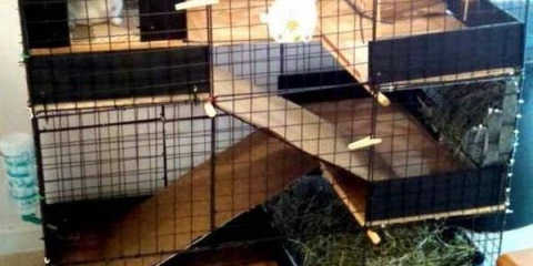 Kavez za ukrasnog zeca