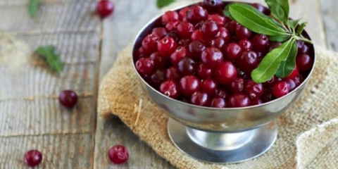 Liker od brusnice: recepti za kuhanje kod kuće