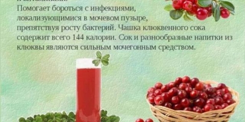 Sok od brusnice kod cistitisa