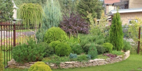 Gredica sa četinarima i cvijećem