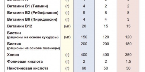 Cobb 500 - opis pasmine brojlera, dnevna tabela rasta, karakteristike