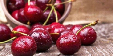 Kada trešnja sazri na krasnodarskom teritoriju