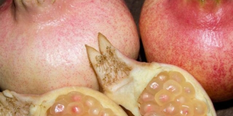 Kad šipak pjeva i zašto ne rađa