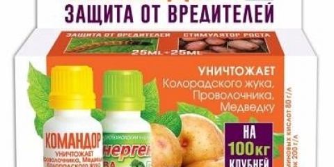 Zapovjednik iz koloradske bube: recenzije