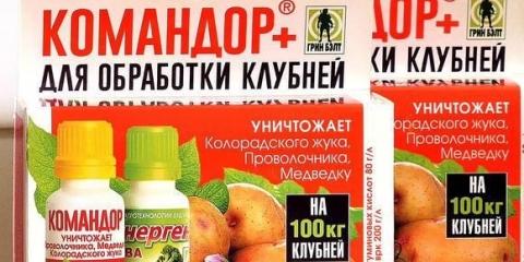 Commander plus za preradu krumpira: upute