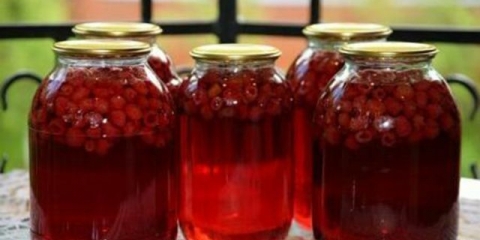 Kompot od ogrozda: crni, crveni, sa narandžom, nanom, mojito