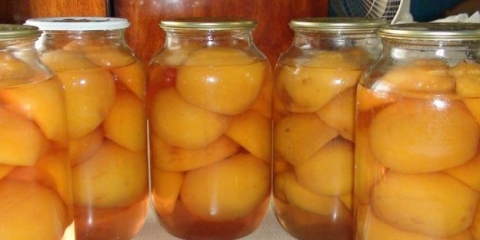 Kompot od breskve za zimnicu