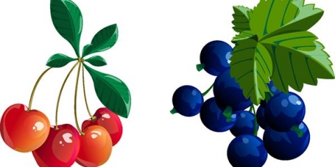 Kompot od ribizle (crvene, crne) i trešanja: recepti za zimnicu i za svaki dan