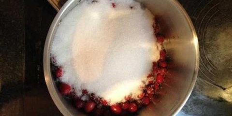 Kompot od smrznutih brusnica