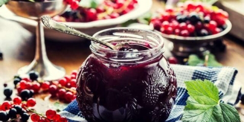 Crvena, crna ribizla sa medom za zimu: recepti, fotografije