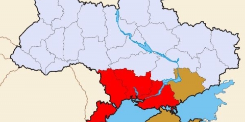 Crvena stepska rasa krava i karakteristike goveda