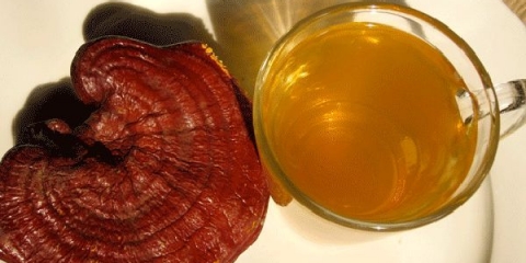 Crveni, crni, zeleni čaj s reishi gljivom: prednosti i kontraindikacije, recenzije liječnika