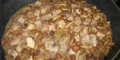 Piletina sa šampinjonima: u tiganju, u rerni, u spori šporet