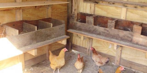 Uradi sam kokošinjac za 15 pilića