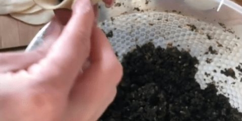 Kurze sa koprivom: recepti za kuvanje, fotografije