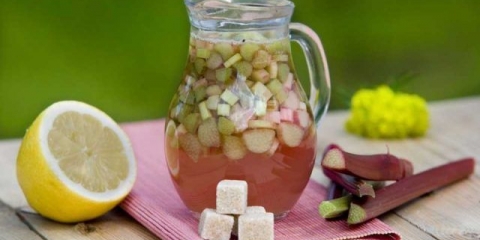 Kvas od rabarbare: 8 recepata