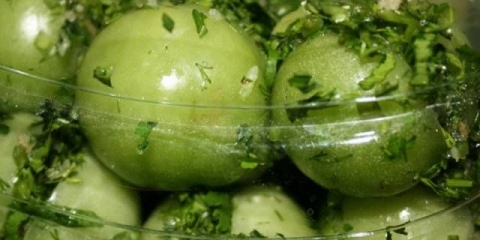 Brzo kiseli zeleni paradajz