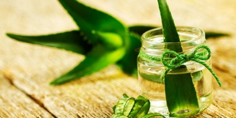 Ljekovita svojstva i upotreba aloje s medom