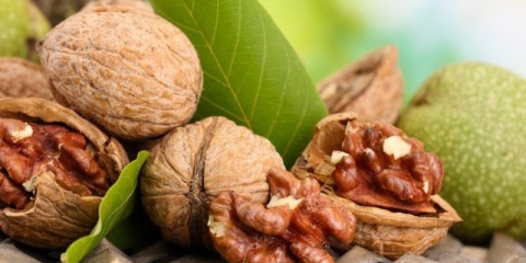 Tretman tinkturom oraha