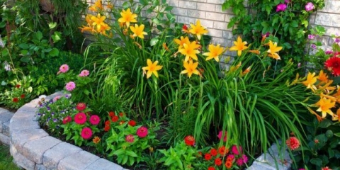 Lilije u vrtu: pejzažni trikovi, kombinacija s drugim biljkama, fotografija