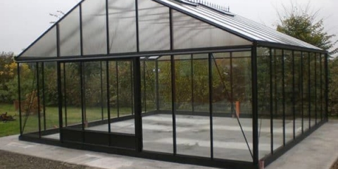 Najbolje sorte krastavaca - 17 popularnih krastavaca za baštu i plastenike