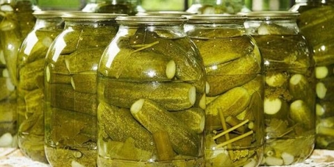 Najbolje sorte krastavaca za kiseljenje