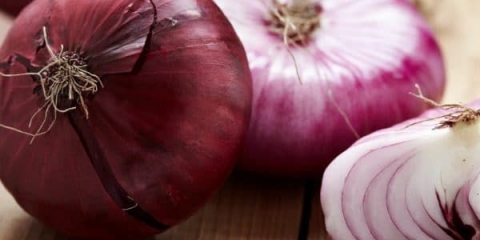 Kako uzgajati luk iz sjemena, koliko duboko saditi sjeme za setove