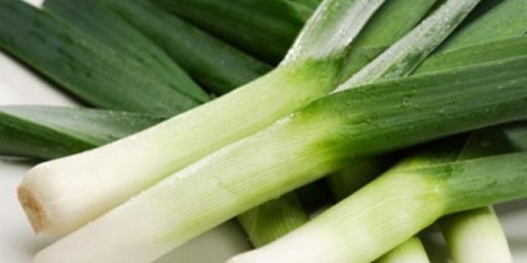 Zelena salata - uzgoj